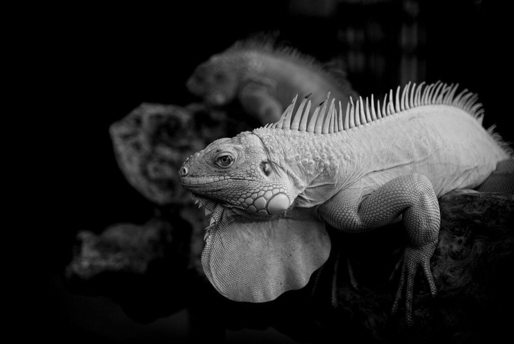 lineが続かない原因とその解決方法は？