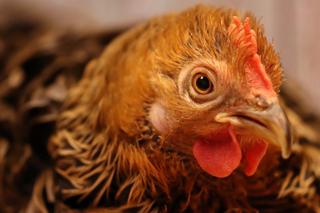 デートに誘われた時のLINE返信はどうすればいい？