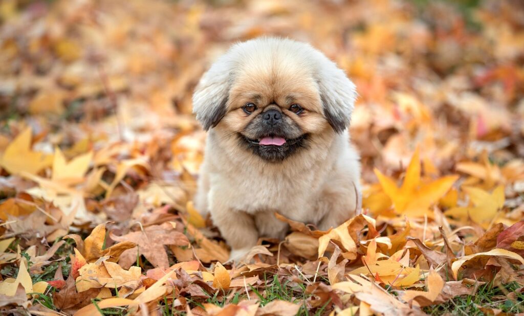 好きな人から返事がこない時の対処法は？