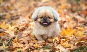 好きな人から返事がこない時の対処法は？