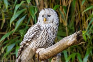 好きな人から返信がこない理由とは？