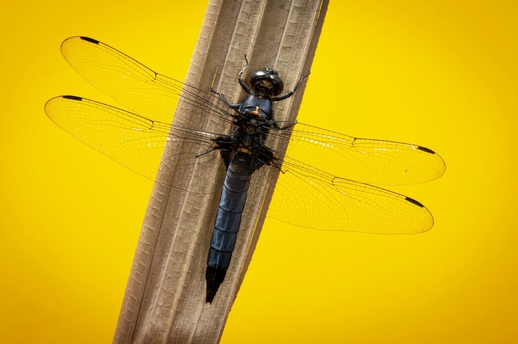 初デートで盛り上がる会話ネタは？