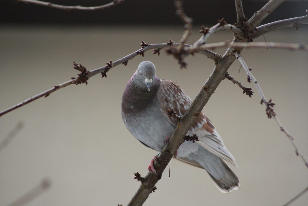 片思いの告白に最適なタイミングはいつ？