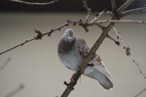 片思いの告白に最適なタイミングはいつ？