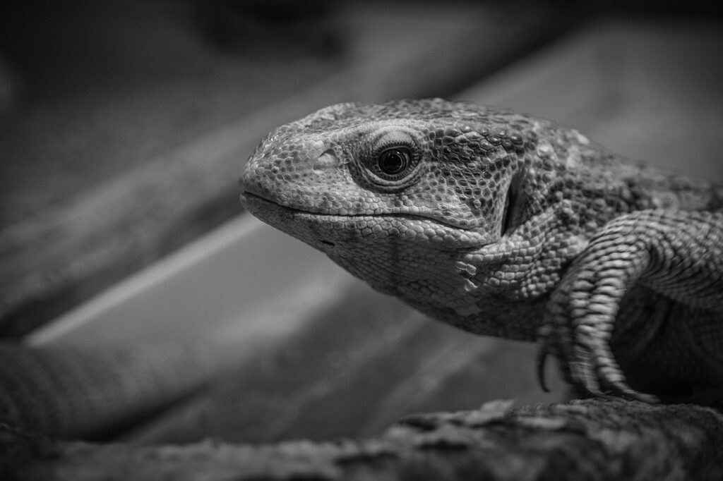 ストーリーをシェアすることで会話のきっかけをどう作る？