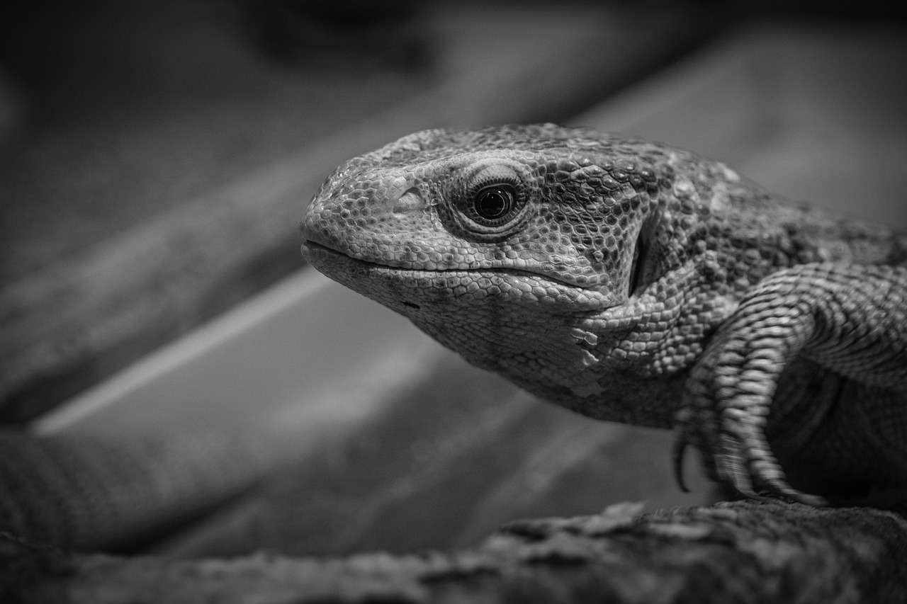 ストーリーをシェアすることで会話のきっかけをどう作る？