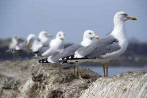 LINEで好きな人から返信がこない理由とは？