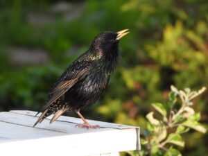 TwitterのDMが返信こない時の対処法は？